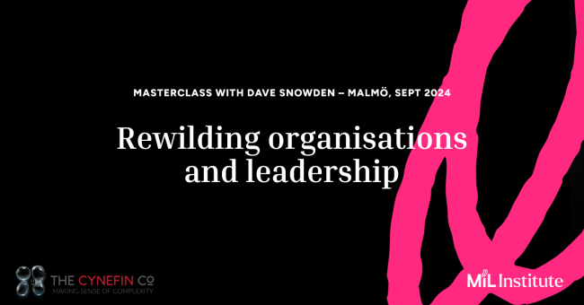 Masterclass with Dave Snowden, Cynefin in Malmö