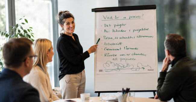 Vad är processledning?